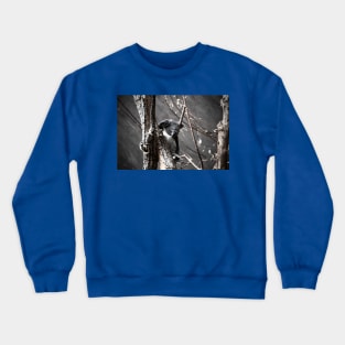 Koala Crewneck Sweatshirt